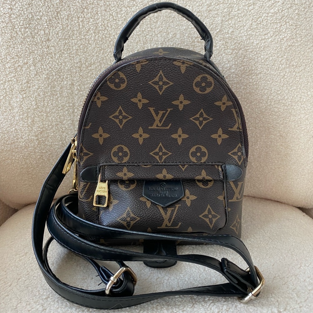 Louis Vuitton Palm Springs Mini Backpack